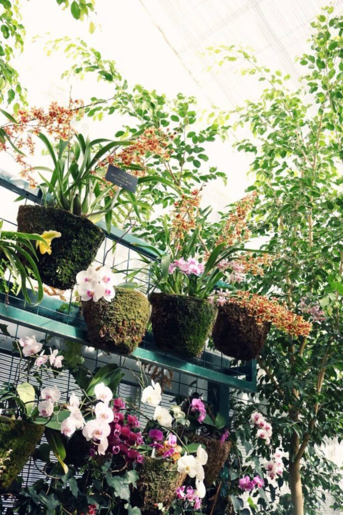 Vertical Garden Balcony Design